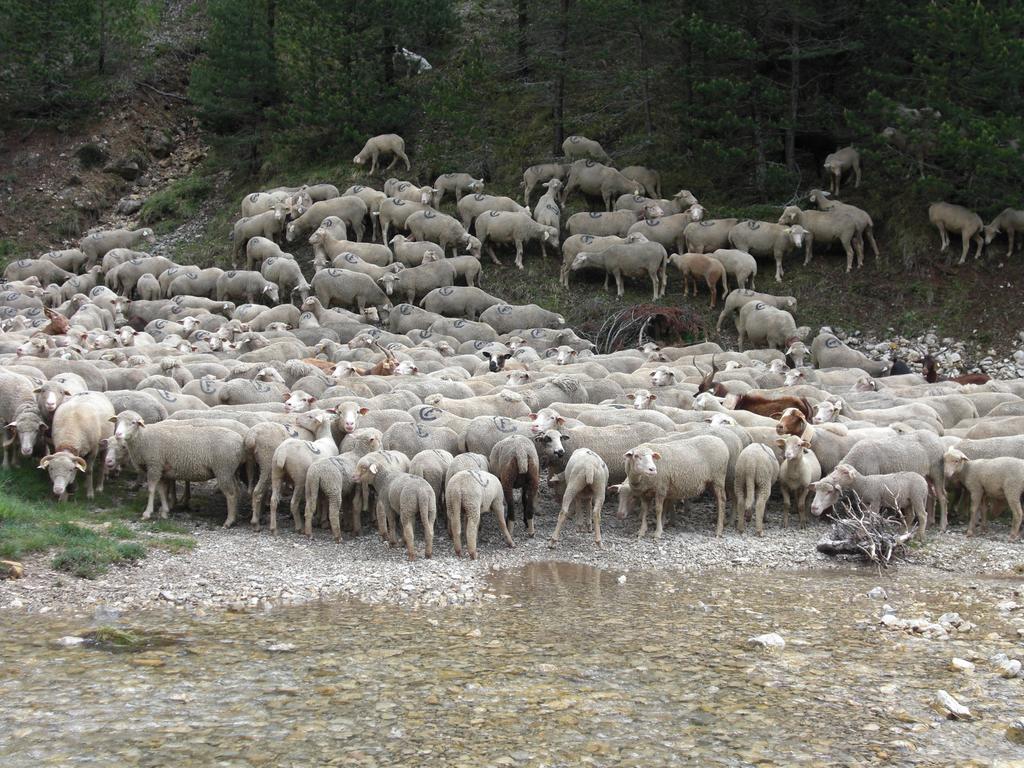 La Sauvaniere Menée المظهر الخارجي الصورة